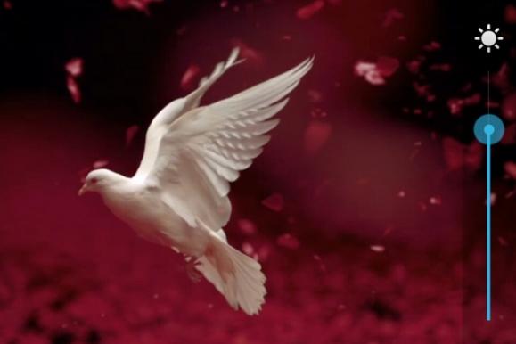 ԒҪX Flymeй¶ȫ¹ܽ