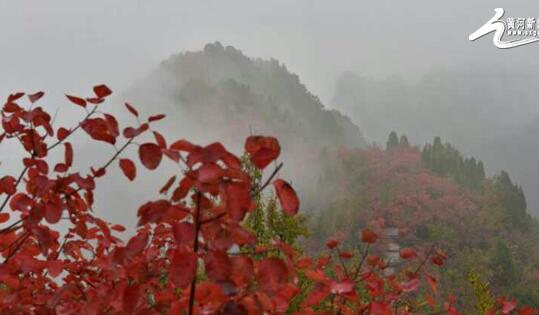 2016首屆中國(guó)蟒河萬(wàn)山紅遍茱萸文化節(jié)盛大開幕