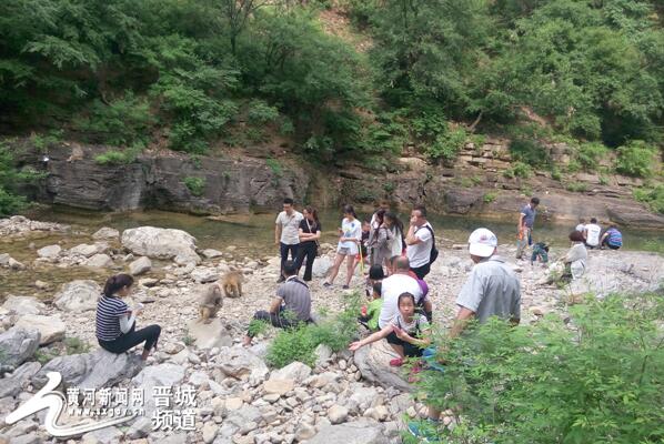 端午小長(zhǎng)假蟒河景區(qū)再迎客流小高峰