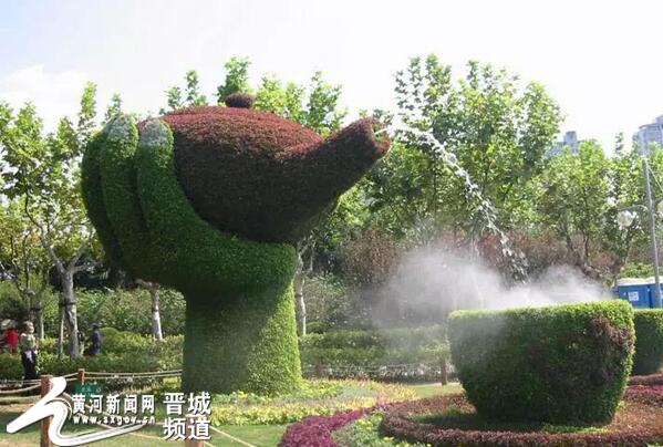 菊花展
